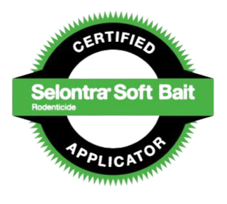 Pest Control Brisbane