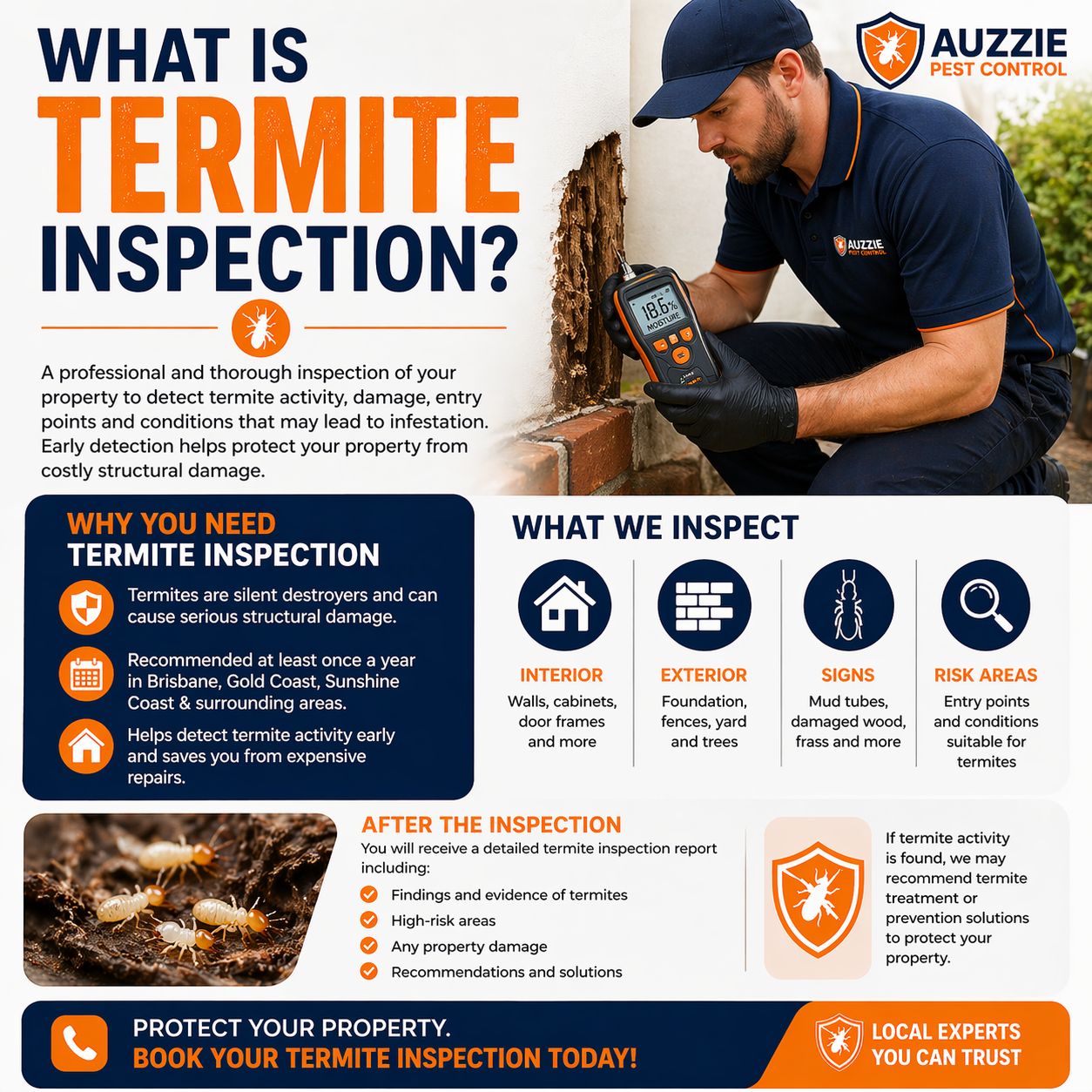 Detailed Termite Inspection Report