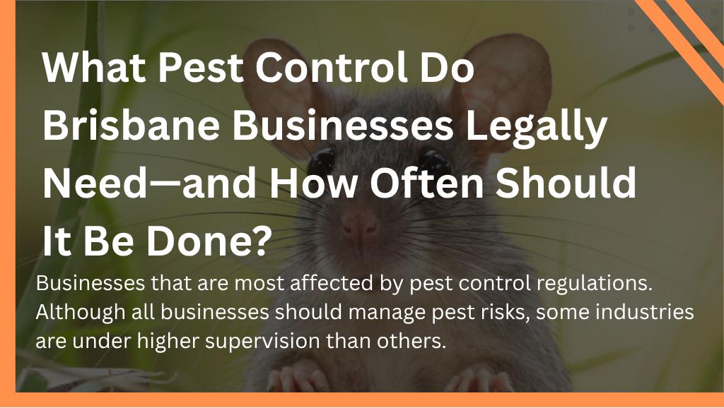 What Pest Control Do Brisbane Businesses Legally Need—and How Often Should It Be Done?