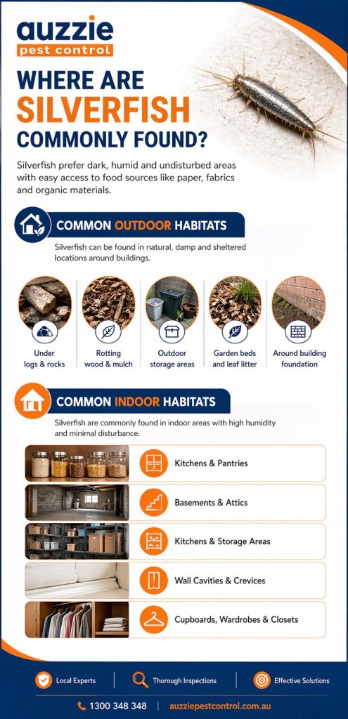 Where are silverfish commonly found?