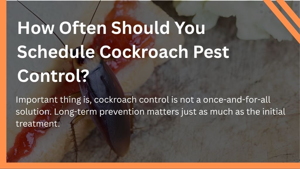 How Often Should You Schedule Cockroach Pest Control?