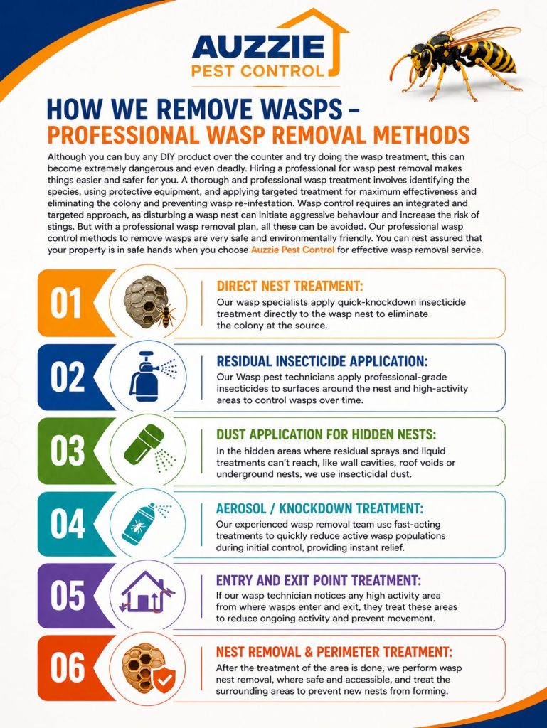 How We Remove Wasps – Professional Wasp Removal Methods