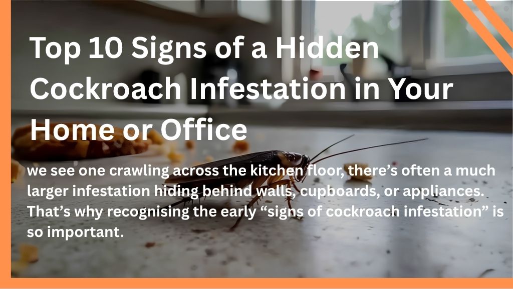 Top 10 Signs of a Hidden Cockroach Infestation in Your Home or Office