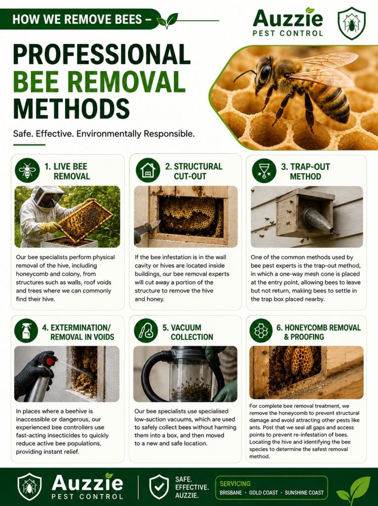 Professional Bee Removal Methods