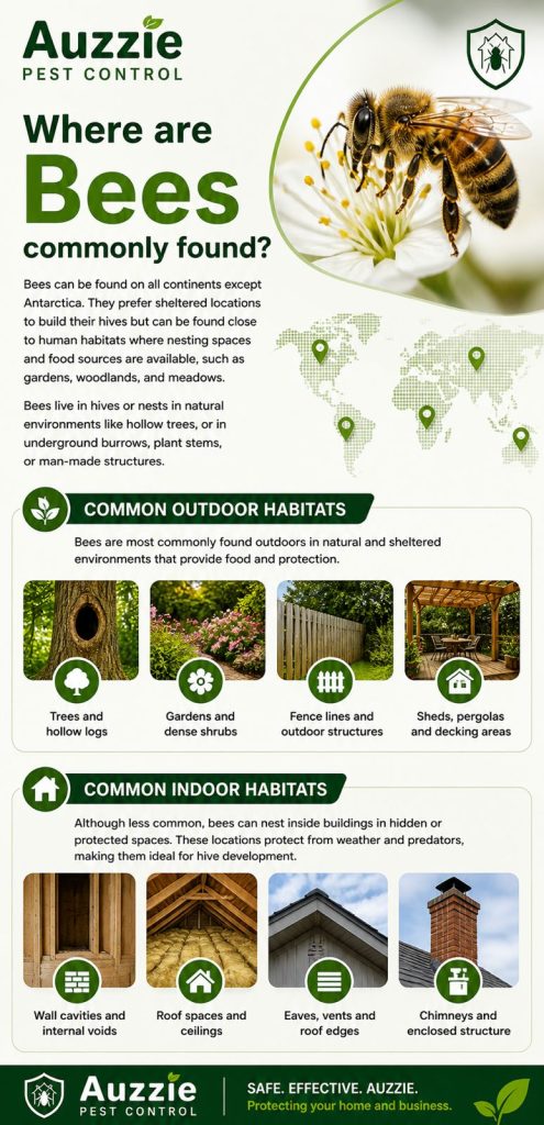 Places Bees are commonly found