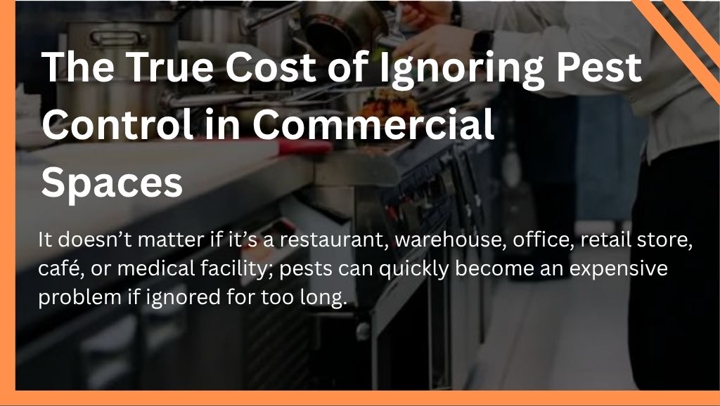 The True Cost of Ignoring Pest Control in Commercial Spaces