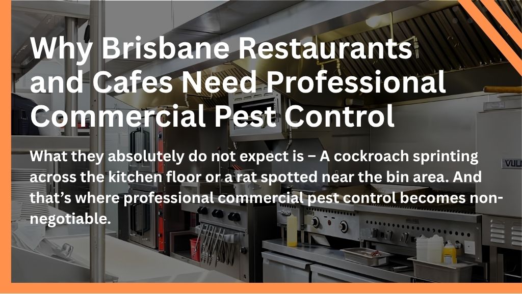 Why Brisbane Restaurants and Cafes Need Professional Commercial Pest Control