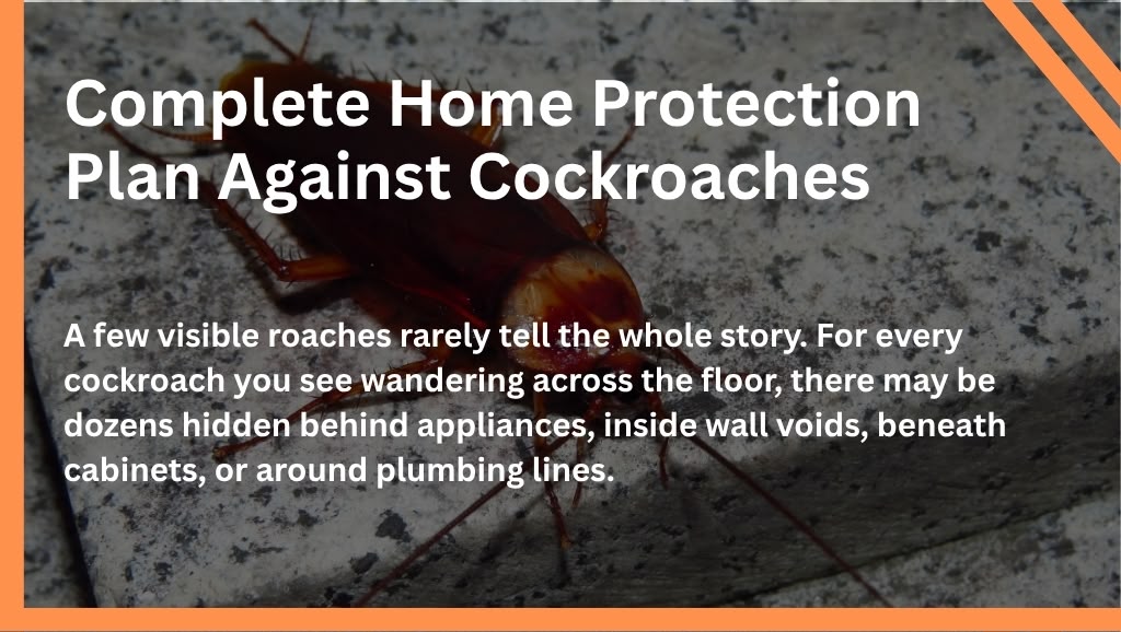 Complete Home Protection Plan Against Cockroaches