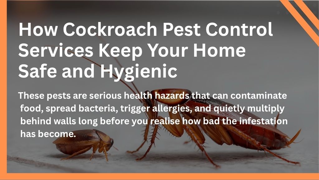 How Cockroach Pest Control Services Keep Your Home Safe and Hygienic