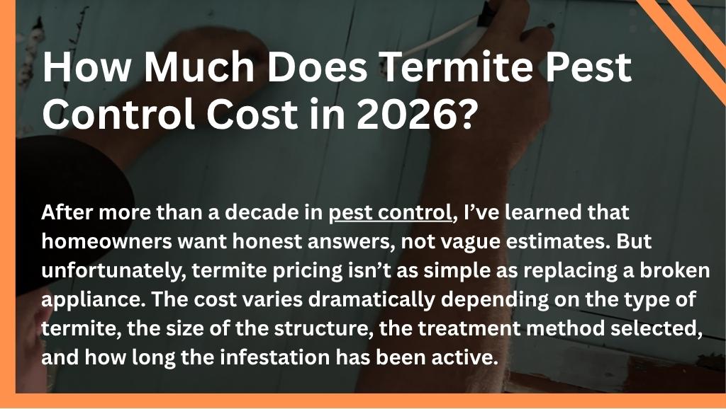 How Much Does Termite Pest Control Cost in 2026?