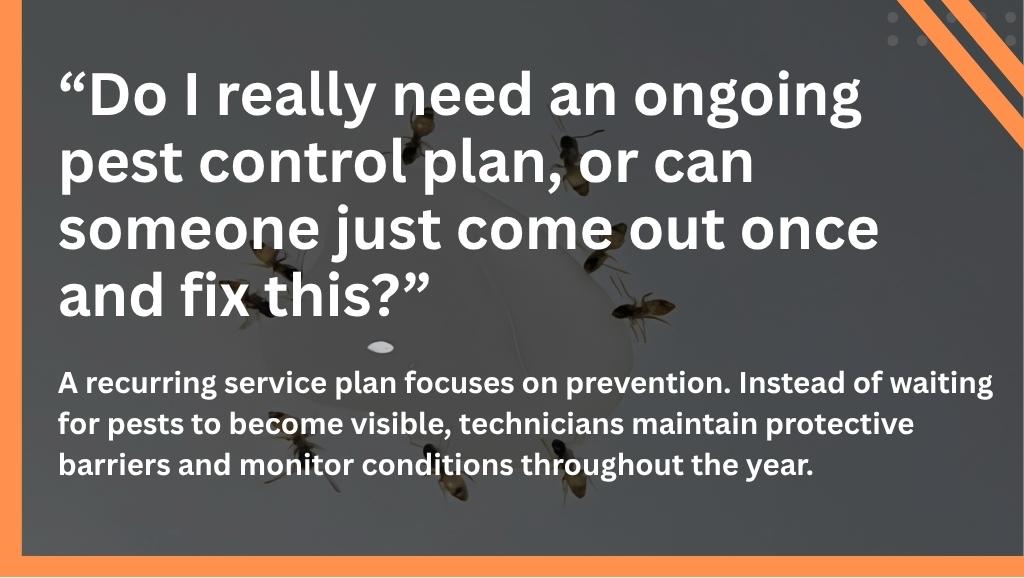One-Time vs. Recurring Pest Control Services: Which Is Better?