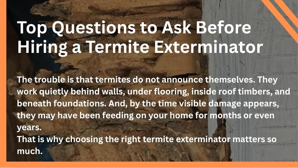 Top Questions to Ask Before Hiring a Termite Exterminator