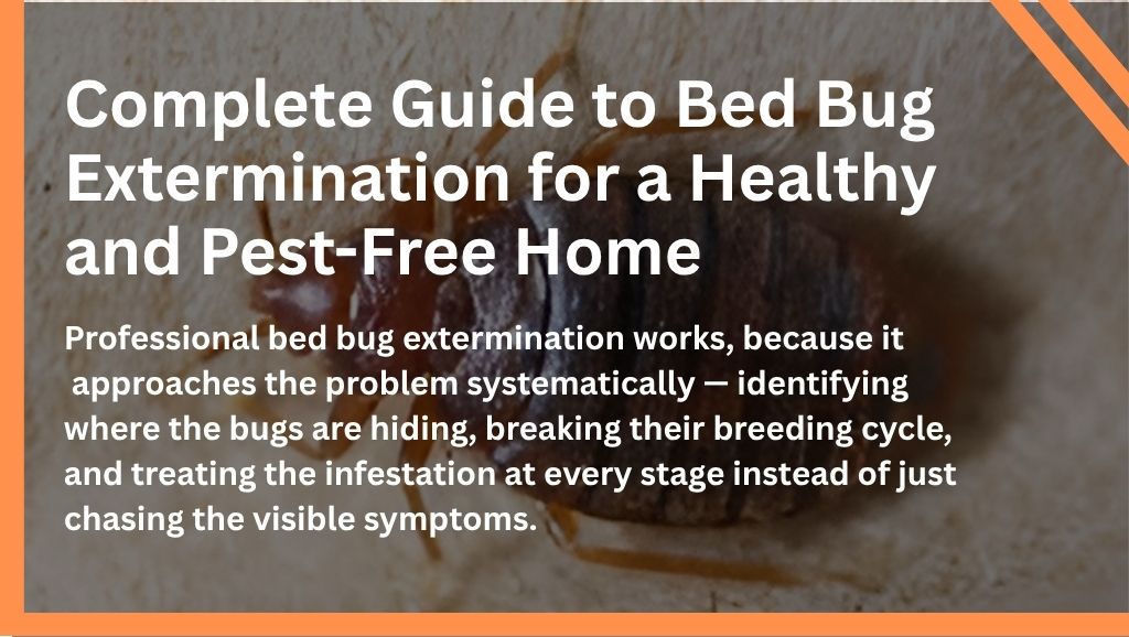 Complete Guide to Bed Bug Extermination for a Healthy and Pest-Free Home