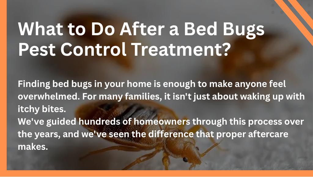 What to Do After a Bed Bugs Pest Control Treatment